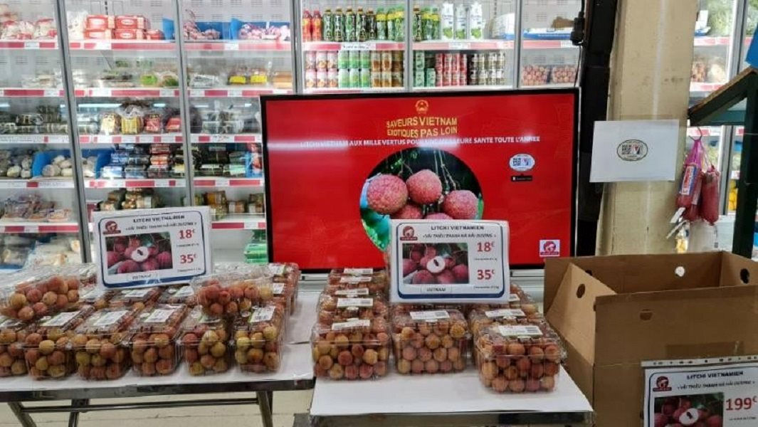 vải thiều xuất khẩu